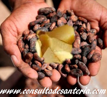ori o cacao